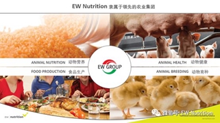 重磅：EW Nutrition收購(gòu)Novus(諾偉司)飼料質(zhì)量和色素業(yè)務(wù)